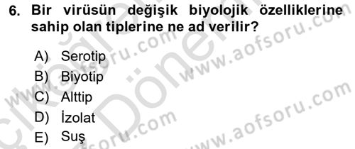 Viroloji Dersi 2022 - 2023 Yılı (Vize) Ara Sınav Soruları 6. Soru