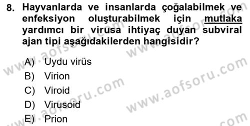 Viroloji Dersi 2022 - 2023 Yılı (Vize) Ara Sınav Soruları 8. Soru