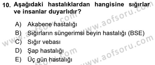 Viroloji Dersi 2022 - 2023 Yılı (Final) Dönem Sonu Sınav Soruları 10. Soru