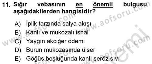Viroloji Dersi 2022 - 2023 Yılı (Final) Dönem Sonu Sınav Soruları 11. Soru