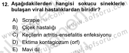 Viroloji Dersi 2022 - 2023 Yılı (Final) Dönem Sonu Sınavı 12. Soru