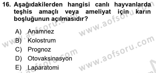 Viroloji Dersi 2022 - 2023 Yılı (Final) Dönem Sonu Sınavı 16. Soru