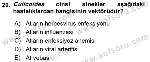 Viroloji Dersi 2022 - 2023 Yılı (Final) Dönem Sonu Sınav Soruları 20. Soru