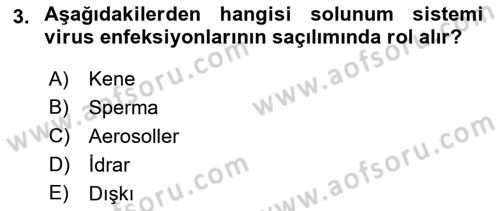 Viroloji Dersi 2022 - 2023 Yılı (Final) Dönem Sonu Sınav Soruları 3. Soru