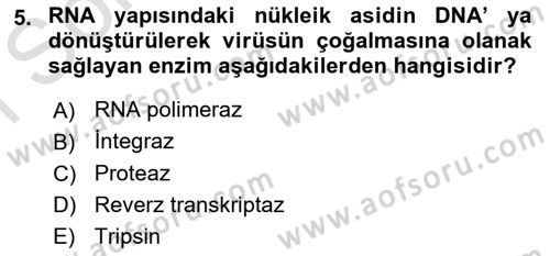 Viroloji Dersi 2022 - 2023 Yılı (Final) Dönem Sonu Sınavı 5. Soru