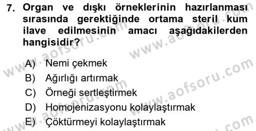 Viroloji Dersi 2022 - 2023 Yılı (Final) Dönem Sonu Sınav Soruları 7. Soru