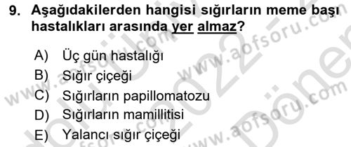 Viroloji Dersi 2022 - 2023 Yılı (Final) Dönem Sonu Sınavı 9. Soru