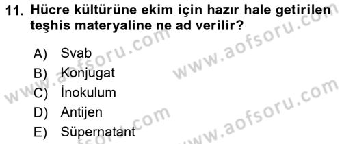 Viroloji Dersi 2022 - 2023 Yılı Yaz Okulu Sınav Soruları 11. Soru