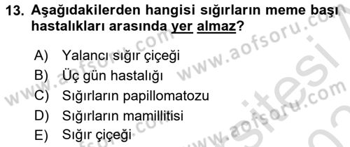 Viroloji Dersi 2022 - 2023 Yılı Yaz Okulu Sınav Soruları 13. Soru