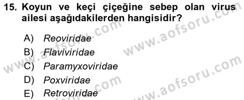 Viroloji Dersi 2022 - 2023 Yılı Yaz Okulu Sınav Soruları 15. Soru