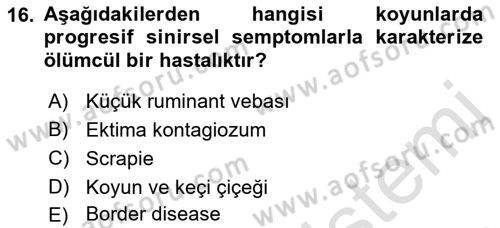 Viroloji Dersi 2022 - 2023 Yılı Yaz Okulu Sınavı 16. Soru