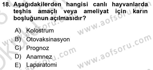 Viroloji Dersi 2022 - 2023 Yılı Yaz Okulu Sınav Soruları 18. Soru