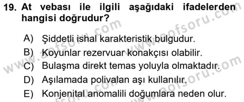 Viroloji Dersi 2022 - 2023 Yılı Yaz Okulu Sınavı 19. Soru