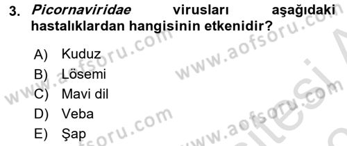 Viroloji Dersi 2022 - 2023 Yılı Yaz Okulu Sınav Soruları 3. Soru