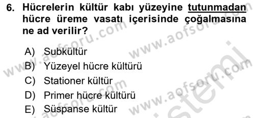 Viroloji Dersi 2022 - 2023 Yılı Yaz Okulu Sınavı 6. Soru