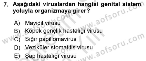 Viroloji Dersi 2022 - 2023 Yılı Yaz Okulu Sınav Soruları 7. Soru