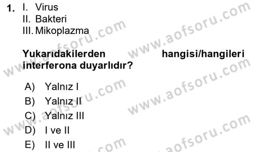 Viroloji Dersi 2023 - 2024 Yılı (Vize) Ara Sınav Soruları 1. Soru