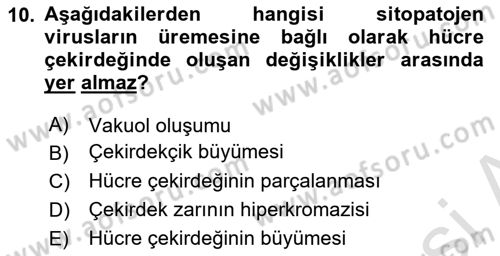 Viroloji Dersi Ara Sınavı Deneme Sınav Soruları 10. Soru