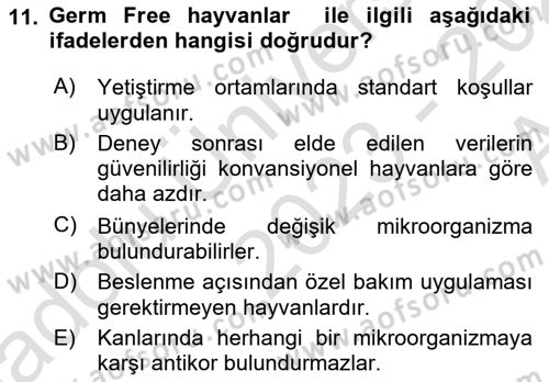 Viroloji Dersi 2023 - 2024 Yılı (Vize) Ara Sınav Soruları 11. Soru