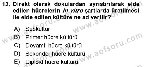 Viroloji Dersi Ara Sınavı Deneme Sınav Soruları 12. Soru