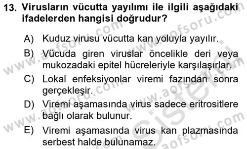 Viroloji Dersi Ara Sınavı Deneme Sınav Soruları 13. Soru