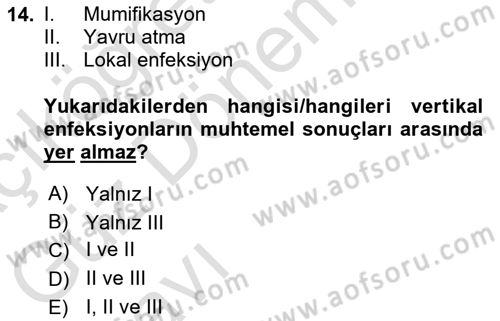 Viroloji Dersi 2023 - 2024 Yılı (Vize) Ara Sınav Soruları 14. Soru
