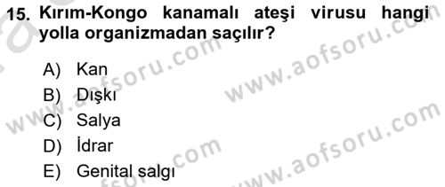 Viroloji Dersi 2023 - 2024 Yılı (Vize) Ara Sınav Soruları 15. Soru