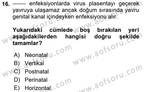 Viroloji Dersi 2023 - 2024 Yılı (Vize) Ara Sınav Soruları 16. Soru