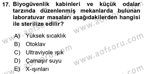 Viroloji Dersi 2023 - 2024 Yılı (Vize) Ara Sınav Soruları 17. Soru