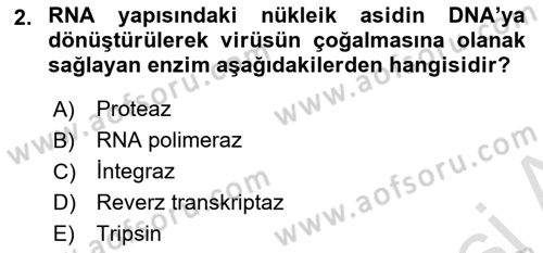 Viroloji Dersi 2023 - 2024 Yılı (Vize) Ara Sınav Soruları 2. Soru