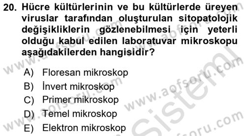 Viroloji Dersi 2023 - 2024 Yılı (Vize) Ara Sınav Soruları 20. Soru