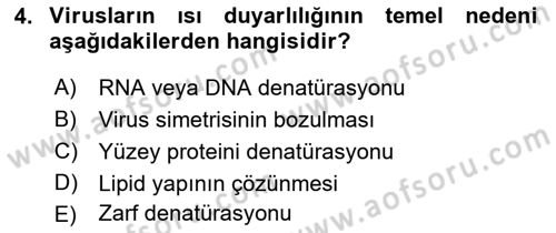 Viroloji Dersi 2023 - 2024 Yılı (Vize) Ara Sınav Soruları 4. Soru