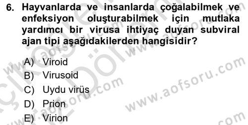 Viroloji Dersi 2023 - 2024 Yılı (Vize) Ara Sınav Soruları 6. Soru