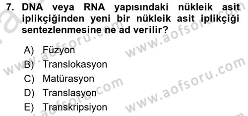 Viroloji Dersi 2023 - 2024 Yılı (Vize) Ara Sınav Soruları 7. Soru