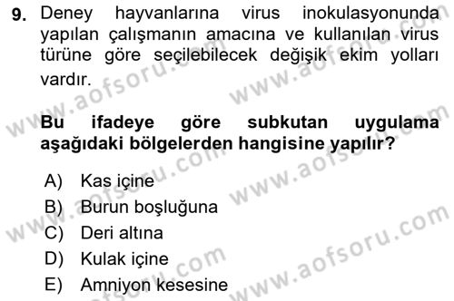 Viroloji Dersi 2023 - 2024 Yılı (Vize) Ara Sınav Soruları 9. Soru