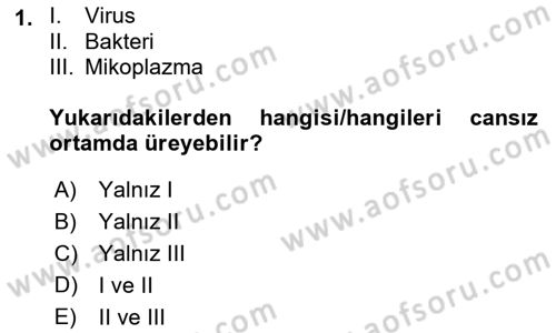 Viroloji Dersi 2023 - 2024 Yılı (Final) Dönem Sonu Sınav Soruları 1. Soru