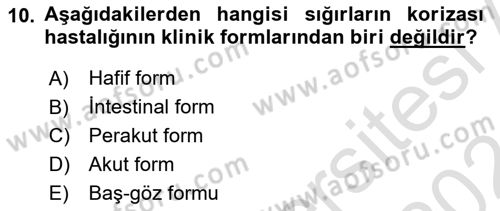 Viroloji Dersi 2023 - 2024 Yılı (Final) Dönem Sonu Sınavı 10. Soru