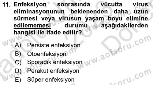 Viroloji Dersi 2023 - 2024 Yılı (Final) Dönem Sonu Sınav Soruları 11. Soru