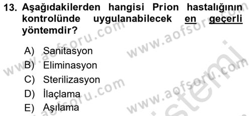 Viroloji Dersi 2023 - 2024 Yılı (Final) Dönem Sonu Sınav Soruları 13. Soru
