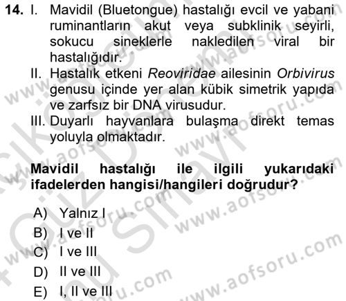 Viroloji Dersi 2023 - 2024 Yılı (Final) Dönem Sonu Sınav Soruları 14. Soru