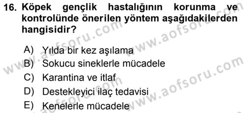 Viroloji Dersi 2023 - 2024 Yılı (Final) Dönem Sonu Sınav Soruları 16. Soru