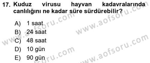 Viroloji Dersi 2023 - 2024 Yılı (Final) Dönem Sonu Sınav Soruları 17. Soru