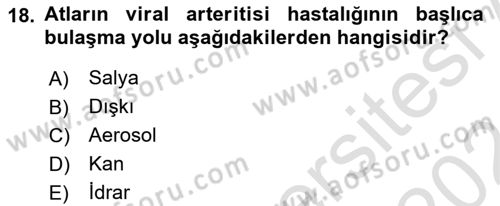 Viroloji Dersi 2023 - 2024 Yılı (Final) Dönem Sonu Sınav Soruları 18. Soru
