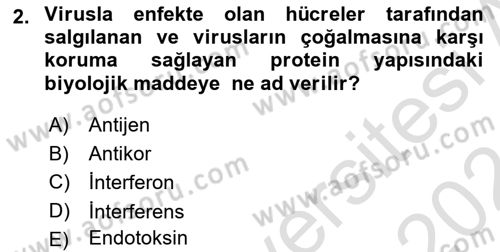Viroloji Dersi 2023 - 2024 Yılı (Final) Dönem Sonu Sınav Soruları 2. Soru