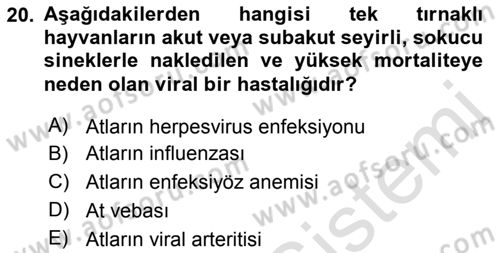 Viroloji Dersi 2023 - 2024 Yılı (Final) Dönem Sonu Sınavı 20. Soru