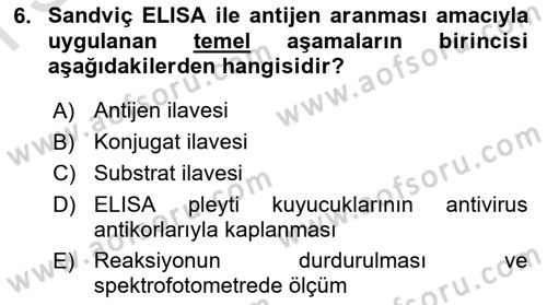 Viroloji Dersi 2023 - 2024 Yılı (Final) Dönem Sonu Sınav Soruları 6. Soru