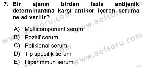 Viroloji Dersi 2023 - 2024 Yılı (Final) Dönem Sonu Sınav Soruları 7. Soru