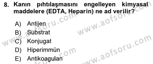 Viroloji Dersi 2023 - 2024 Yılı (Final) Dönem Sonu Sınav Soruları 8. Soru