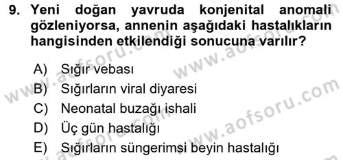 Viroloji Dersi 2023 - 2024 Yılı (Final) Dönem Sonu Sınavı 9. Soru