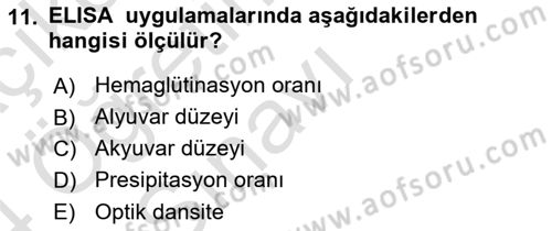 Viroloji Dersi 2023 - 2024 Yılı Yaz Okulu Sınav Soruları 11. Soru